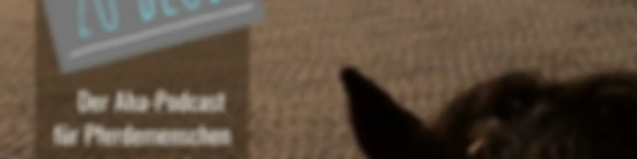 Die Pferde sind nicht das Problem - und du bist nicht zu blöd.
Der Aha-Podcast für Pferdemenschen