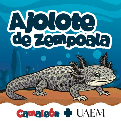 Ajolote de Zempoala: Vivir sin cambiar… y funcionar