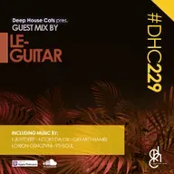 #DHC229 - Guest Mix By Le-Guitar