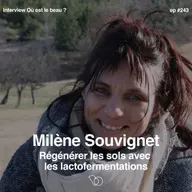 #243- Régénérer les sols avec les lactofermentations avec Milène Souvignet, ingénieure agronome et chercheuse e en agro-écologie