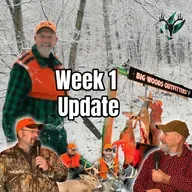 Deer Season Week 1 Update | Big Woods Bucks Podcast Ep 181