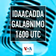 Idaacadda Galabnimo - Sebtembar 08, 2025