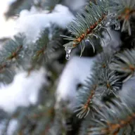 State of the Union, Milder winters, LGBT theater groups