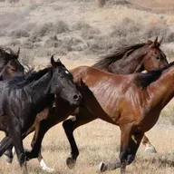Le journal du 12 février 2026 - Festival Dokin Iska : rendez-vous du 13 au 15 février à Filingué, capitale du Kourfey