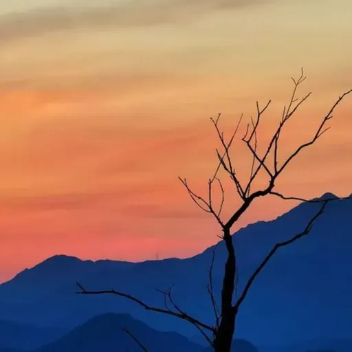 李云风：为了生活