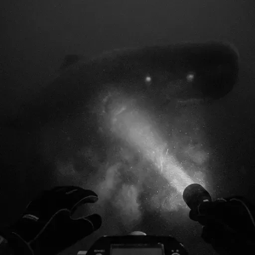 Terror bajo el Océano Pacífico | Relato de un Buzo