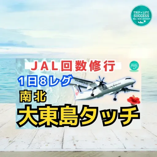 【JALステータス修行】沖縄島めぐり1日8レグ 南北大東島を1日で往復！