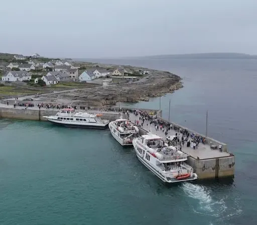Ferdia Mac Eoin, Scoláire ó Choláiste Ghobnait.