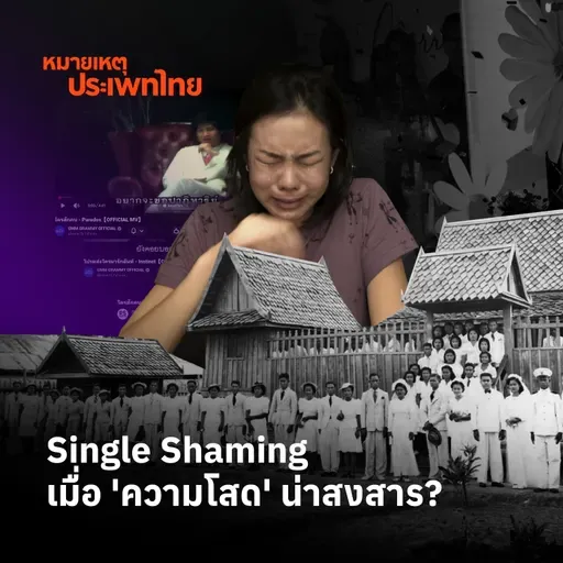 Single Shaming เมื่อ ‘ความโสด’ น่าสงสาร?