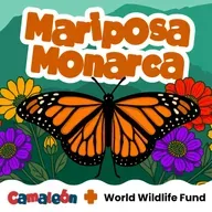 Mariposa Monarca: pequeña y fuerte viajera