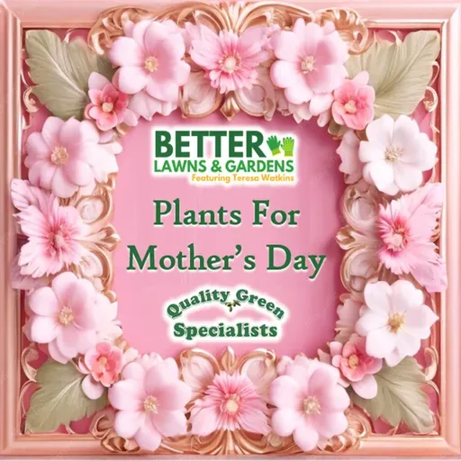 S2 Ep446: Better Lawns and Gardens - Hour 1 Plants for Mother's Day May 2, 2026