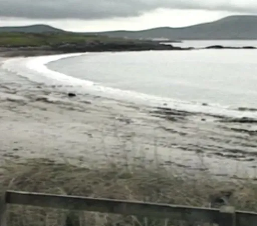 Fresh developments in Kerry Babies case