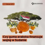 Czy guma arabska finansuje wojnę w Sudanie (Dział Zagraniczny Podcast#275)
