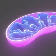 771: Mitochondrial Health: The Hidden Foundation of Youth