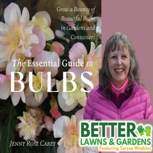 S2 Ep404: Better Lawns and Gardens - Hour 2 Jenny Rose Carey Essential Guide to Bulbs November 22, 2025