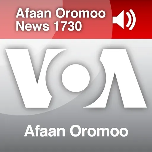 Sagantaa- Dilbata - Bitooteessa 15, 2026