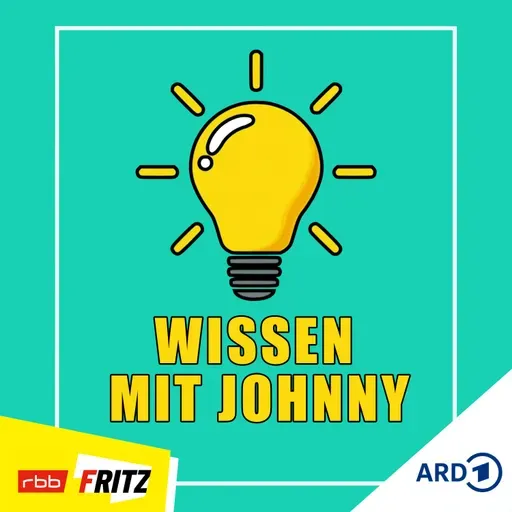 77 - Die Wikinger