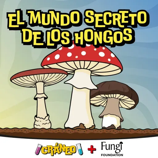 El mundo secreto de los hongos