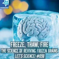 Freeze, Thaw, Fire: The Science of Reviving Frozen Brains