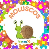 Moluscos