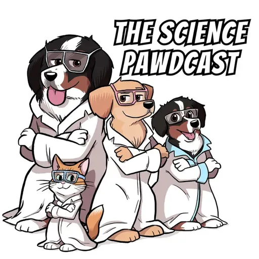 Pet Chat July 20th: The Art of Johnny Heim Bringing Pet Stories to Life