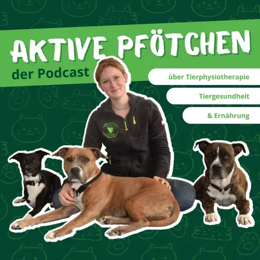 #55 Nierenerkrankungen bei Hund und Katze -Teil 1: Symptome, Verlauf und was im Körper passiert