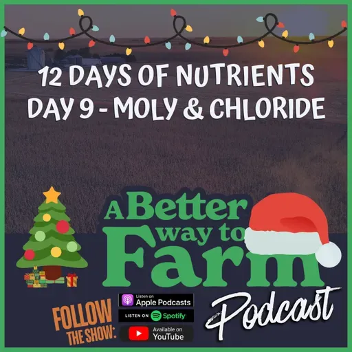 12 Days of Nutrients - Day 9: Moly & Chloride