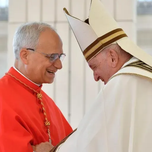 If I Were Created a Cardinal