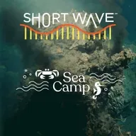 Sea Camp: Did Life Start In Hydrothermal Vents?