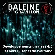 S07E129 Vous avez dit bizarre ? Développement 4/5 : Les Vers luisants de Waitomo, l'or bleu de Nouvelle-Zélande