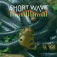 New Antivenom, Thanks To 200 Intentional Snake Bites