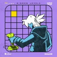 Hidden Levels #2: Stick It to 'Em