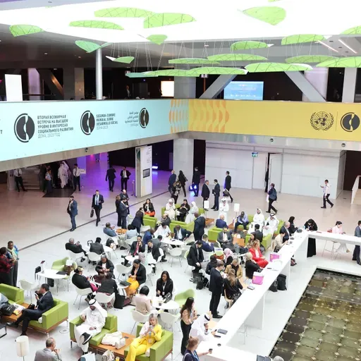 Hatua ndizo zinazohitajika baada ya mkutano wa dunia wa Maendeleo ya Kijamii - Diana Pasha