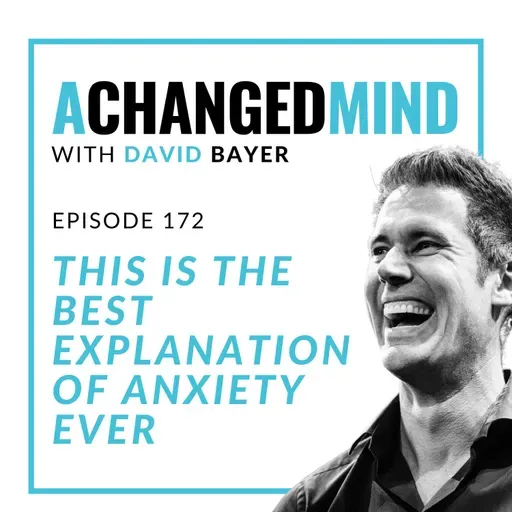 172 This is The Best Explanation of Anxiety Ever