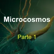 Microcosmos (parte 1) 
