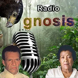 Radio Gnosis