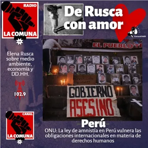 ONU: La ley de amnistía en Perú vulnera las obligaciones internacionales en materia de derechos humanos