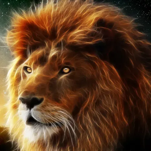 MEDITANDO EN LA PALABRA DE YHWH (2 Corintios 5; 10) 20210624
