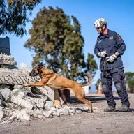 Tim Houweling (Search Canines, Disaster Response and the Healing Power of Psychedelics) - Episode 1201