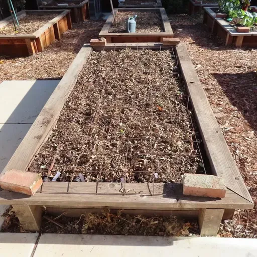 Winter Garden Cleanup Tips