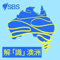 How to respond when encountering wildlife on your property - 後園見袋鼠？屋頂有負鼠？專家教你屋企遇野生動物要點做
