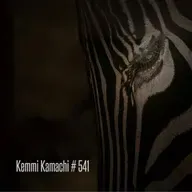 Kemmi Kamachi # 541