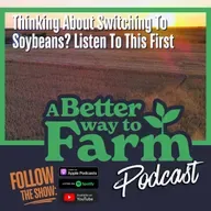 362: Thinking About Switching To Soybeans? Listen To This First