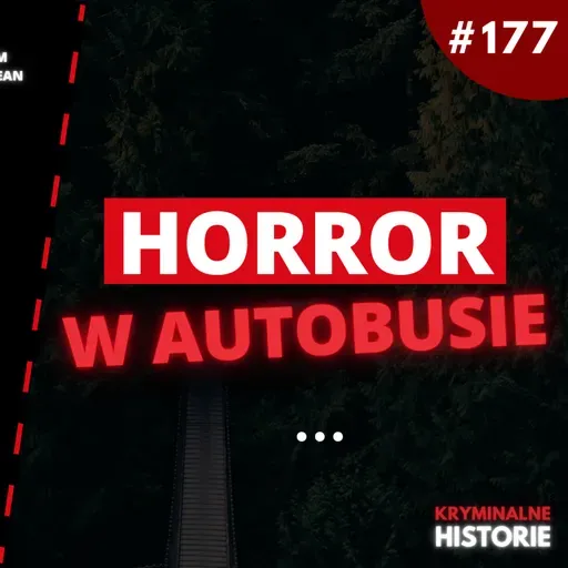 PODRÓŻ, KTÓRA ZAMIENIŁA SIĘ W KOSZMAR | TIM MCLEAN I VINCENT LI #177