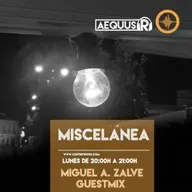 Aequus R presenta Miscelánea 166 + Miguel A. Zalve Guestmix
