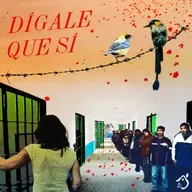 Dígale que sí