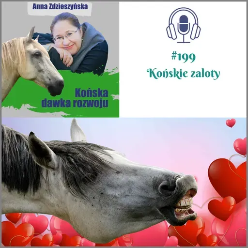 #199 Końskie zaloty