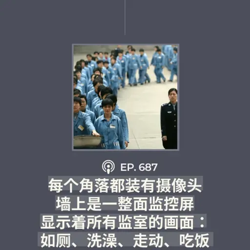 【第687期】CDT关注：“每个角落都装有摄像头，墙上是一整面监控屏，显示着所有监室的画面：如厕、洗澡、走动、吃饭”（外二篇）