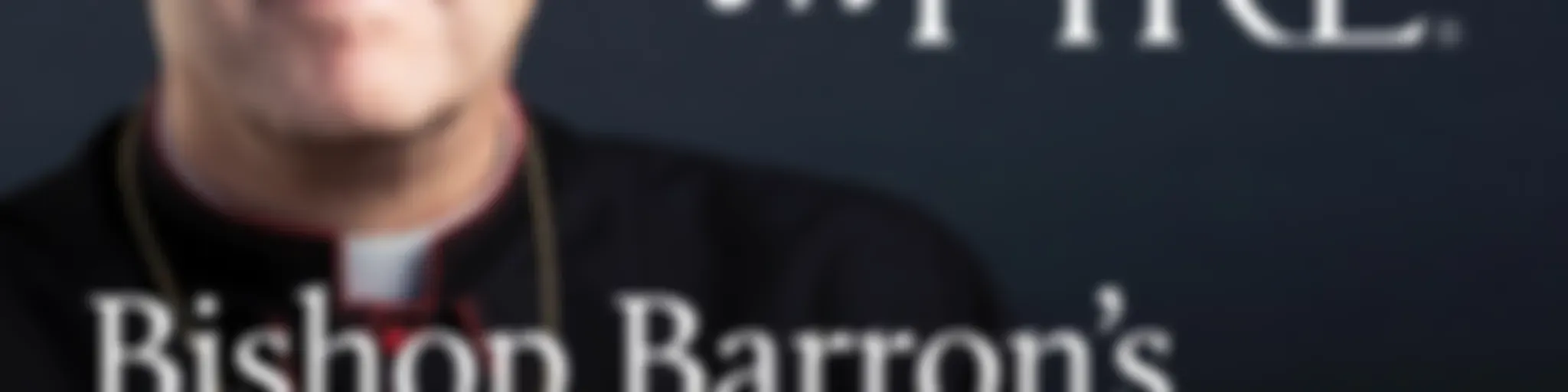 Bishop Barron’s Sunday Sermons - Catholic Preaching and Homilies