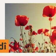 “Before blaming men, we must reflect on our own role” - "Berî em gazincan ji mêran bikin, divê em gazincan ji xwe bikin"